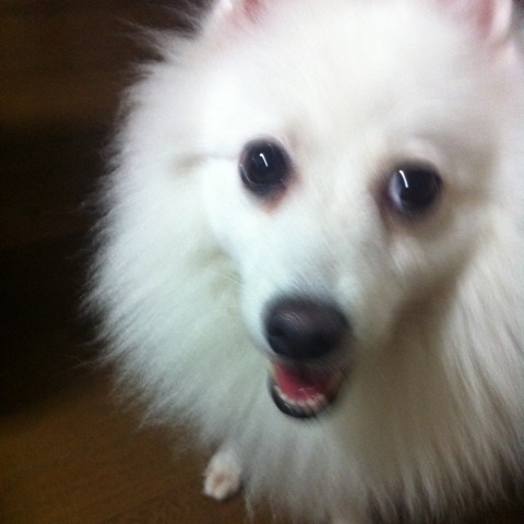 photo:03