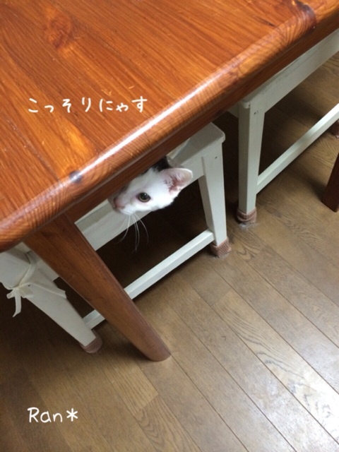 {4397282C-F5E1-4CC5-90EB-A29F35472960:01}