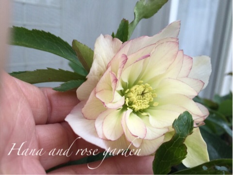 {1B91EBF4-4388-40B9-87CB-6DFEEA50D391:01}