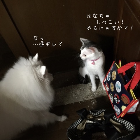 {FA114768-61C9-46DB-92E6-E34A11504B49}