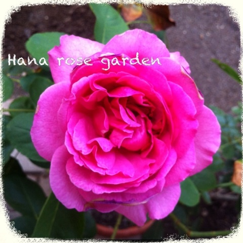 photo:03