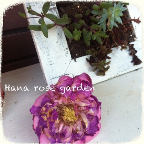 photo:04