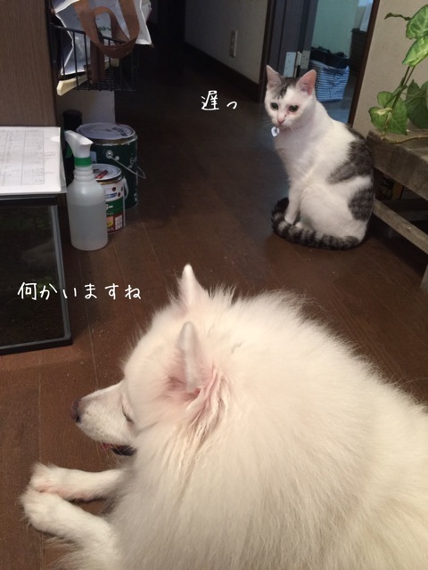 {9D7FA3CA-FD83-4F32-9F41-66ABD43E43E5}