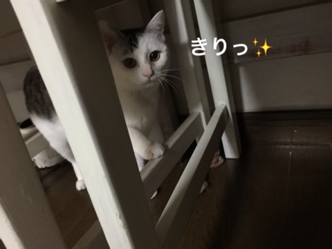 {BDC7A6EC-9C74-463D-B3E6-BB537CB19478:01}