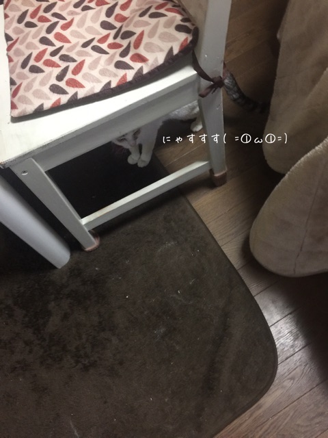 {0B69DE03-FB4C-47BE-A28F-ED11F0ADDAF1}