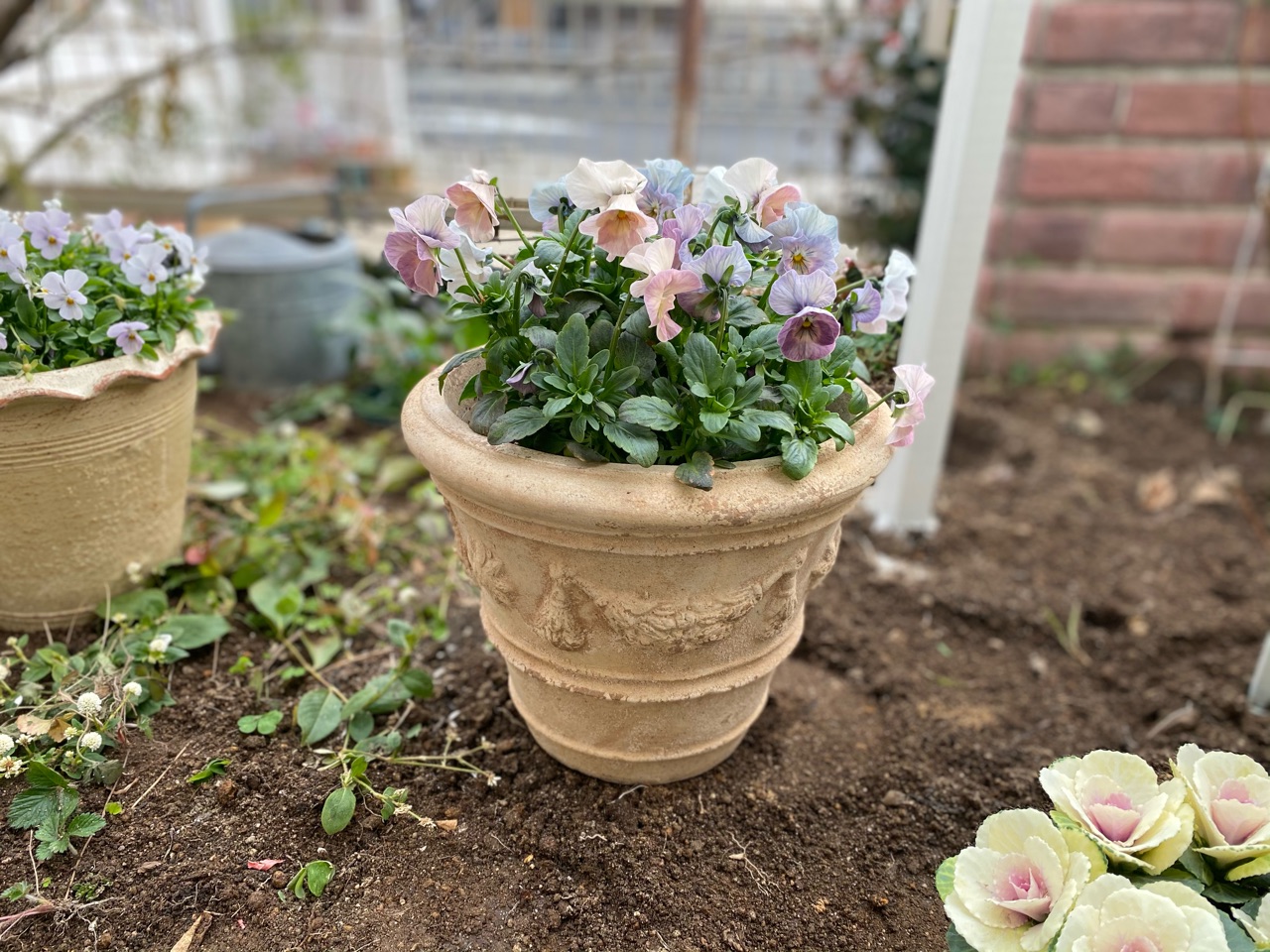 春の仕度 大きくなる花を狭い庭に植えるときの工夫 のばらのガーデニングブログ Hana And Rose Garden Powered By ライブドアブログ 春の仕度 大きくなる花を狭い庭に植えるときの工夫 のばらのガーデニングブログ Hana And Rose Garden Powered By ライブドアブログ