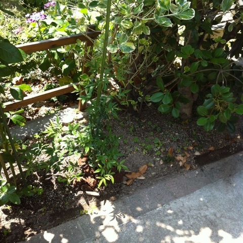 photo:05