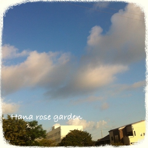 {EA5B078F-3AE7-4134-A6DC-3C862D4316A3:01}