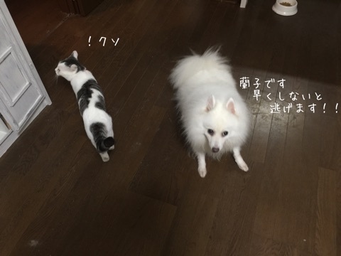 {28BB9625-2532-4404-989D-84502154B7D2}