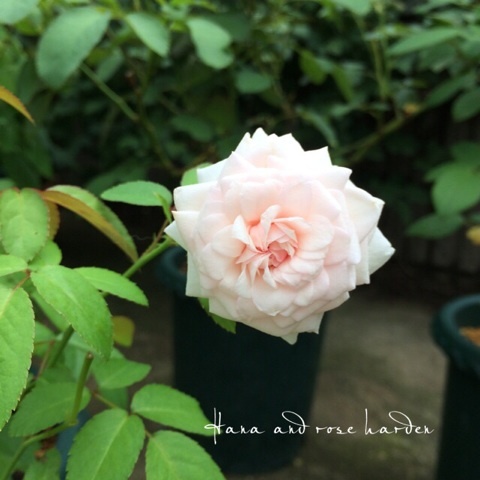 {3254409C-DB1A-4F05-A697-E9B4BC020DF5:01}