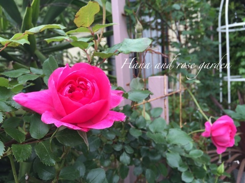 {D711360E-F6F4-4789-B3B4-CD62AC73BE27}