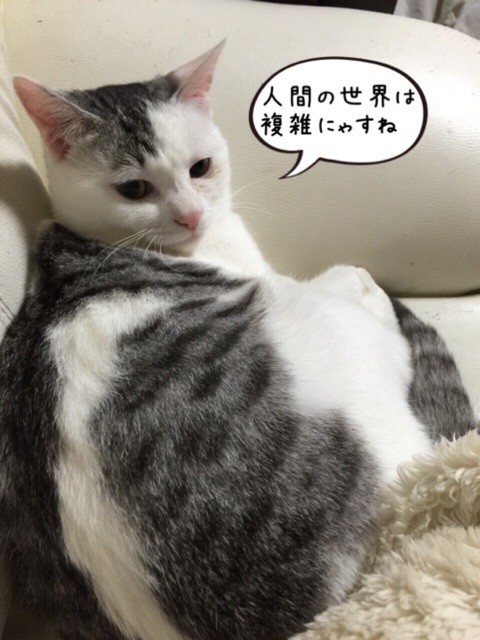 {D4C75210-1A06-4CB5-B03E-52CE13D1730C:01}