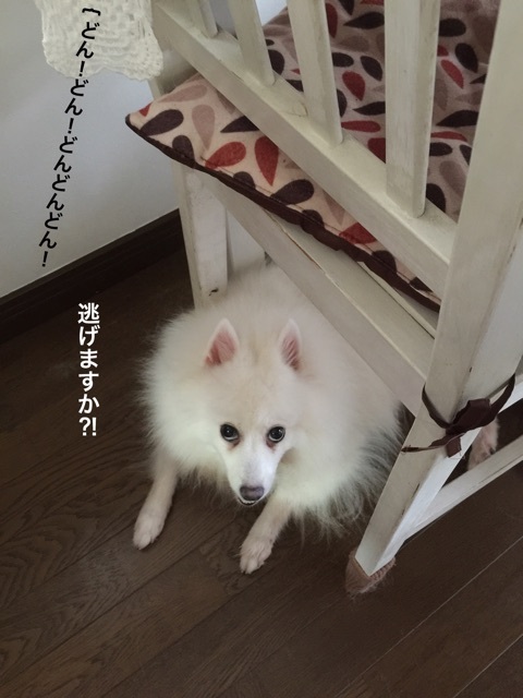 {F5746F43-8620-4263-8B6D-6FBEAB5536D8}