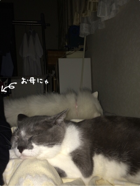 {781DD450-6129-4A14-A886-5C9591461FEB:01}