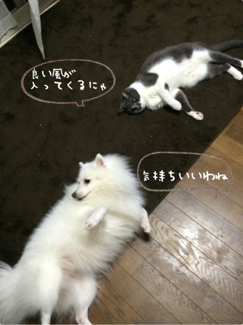 {27CF54EC-896F-43E9-9EFB-F3F6B469D1E8:01}