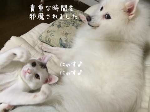 {E7598AC9-CF3D-4FD4-BE63-321D5115A8AF:01}