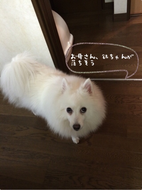 {38CB935A-5558-4D4F-A5F5-091D8AD8B97B:01}