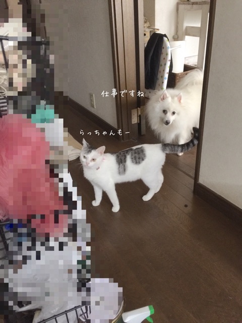 {07D89994-0A09-4E15-990A-B1C3CC55D488}