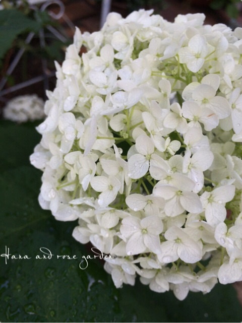 {A56674C1-0D46-416B-852E-9D712562A480:01}