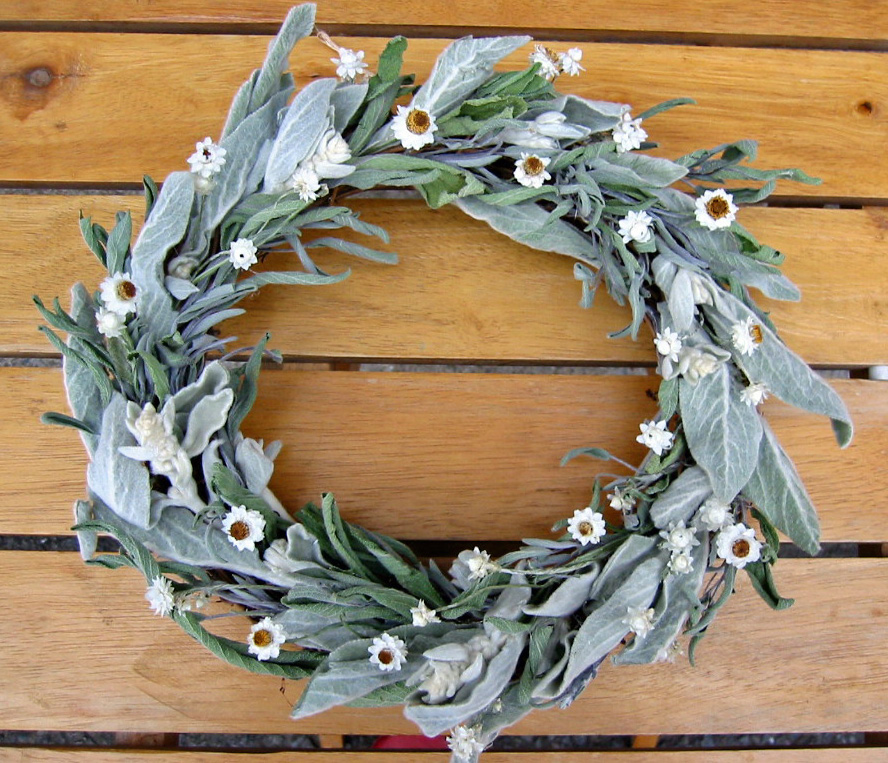 ラムズイヤーとセージのリース ドライフラワー 花遊び