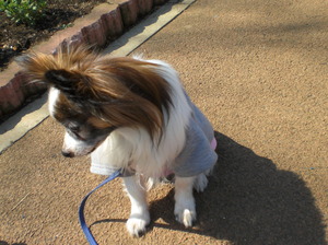 2014_0315_214932-CIMG1026