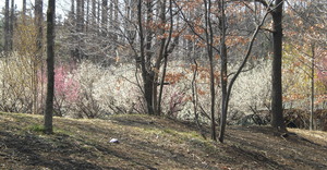 2014_0315_214414-CIMG1014