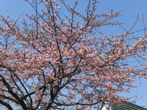 2014_0315_213241-CIMG1008