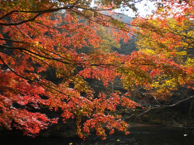 2014_1124_015829-CIMG1130