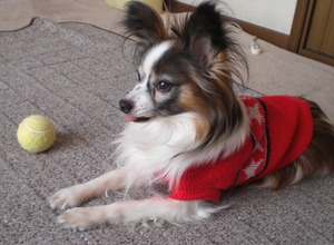 2014_0120_233437-CIMG1008