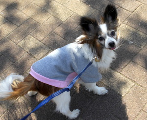 2014_0315_213004-CIMG1002