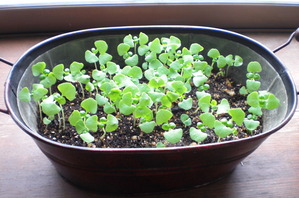 2014_0525_234649-CIMG1049