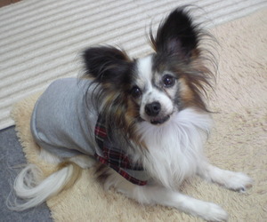 2014_0204_000511-CIMG0985