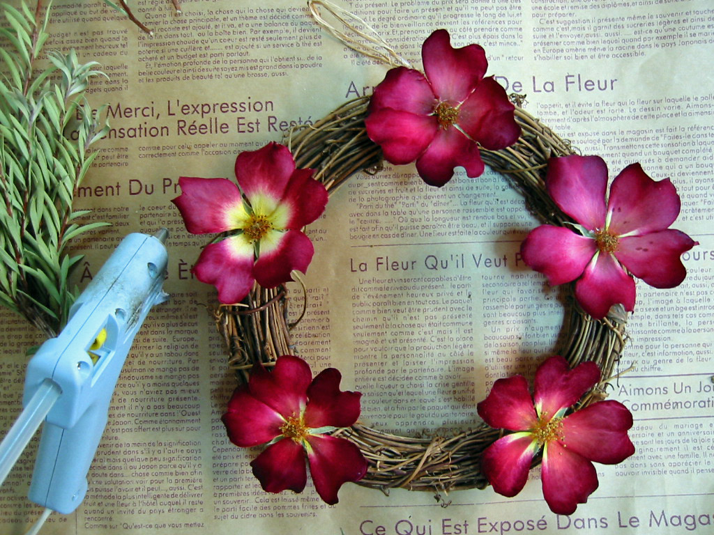 ツルバラのリースの作り方 ドライフラワー 花遊び