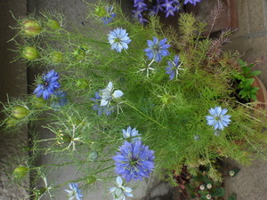 2014_0525_234429-CIMG1039