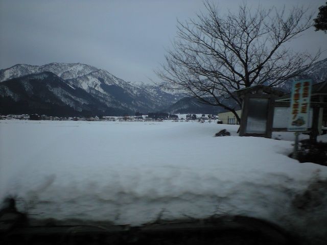 2011_02100012