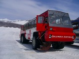 �쥤���륤�����ȥ����Х�����