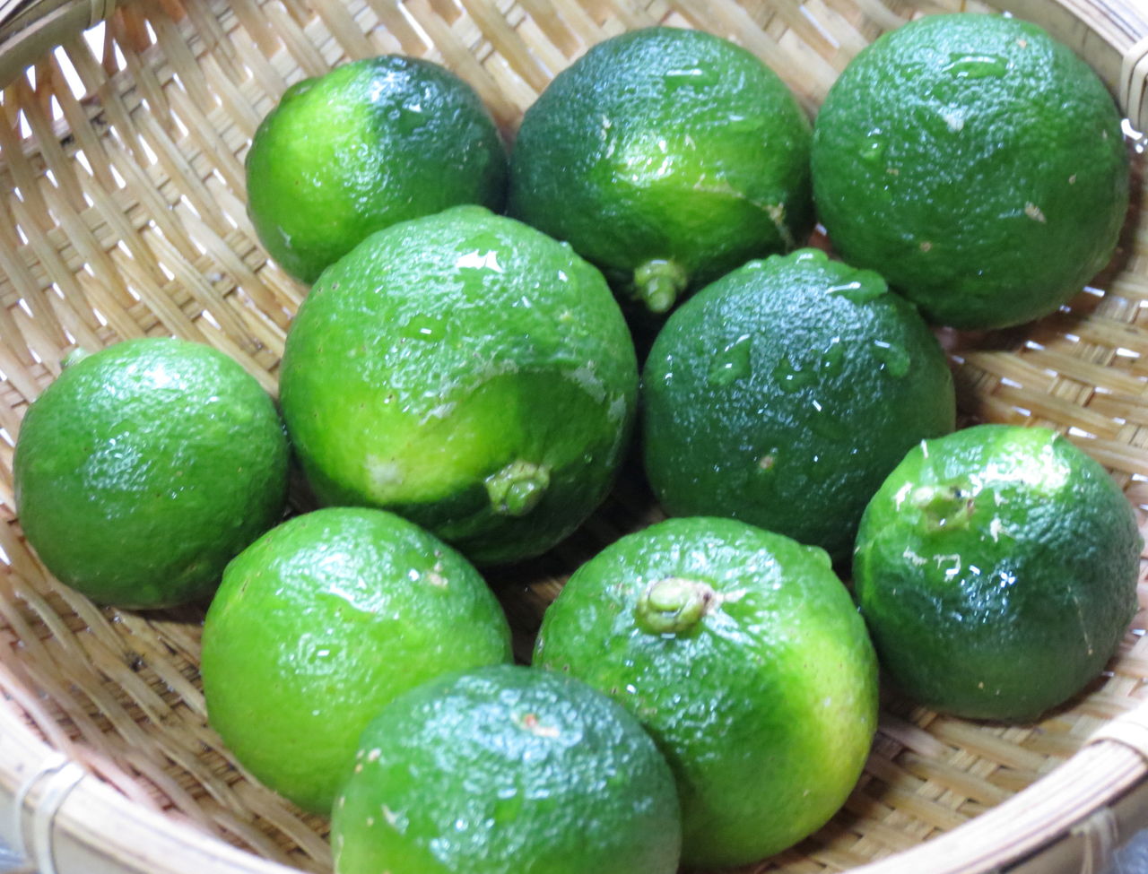 ポケットの中を酢橘の蠢きぬ 神楽坂リンダの豹柄日記