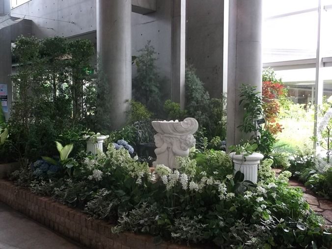 三陽ミュージアム 見頃の花 ６月１日 千葉市花の美術館公式ブログ