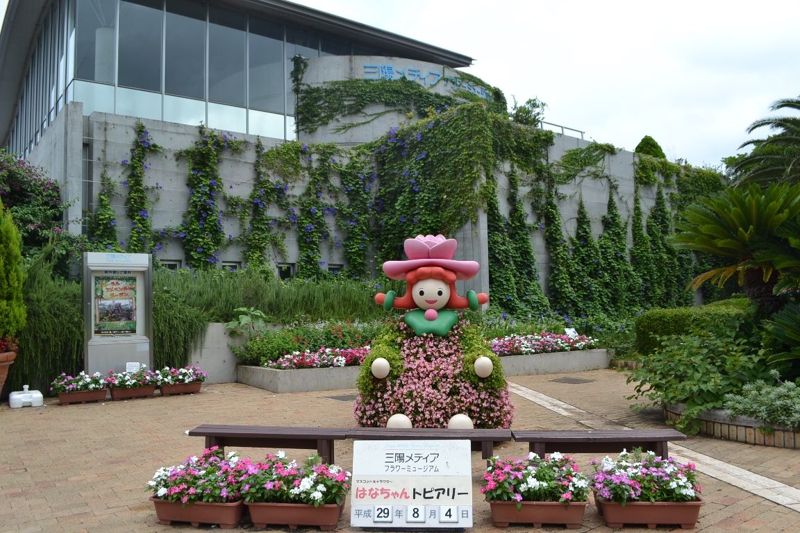 三陽ミュージアム 見頃の花 縮小版 ８月４日 千葉市花の美術館公式ブログ