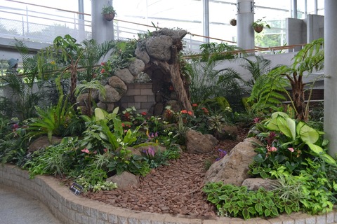見頃の花 千葉市花の美術館公式ブログ 見頃の花 千葉市花の美術館公式ブログ