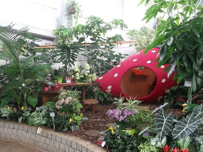 三陽ミュージアム 見頃の花 8月12日 千葉市花の美術館公式ブログ 三陽ミュージアム 見頃の花 8月12日 千葉市花の美術館公式ブログ