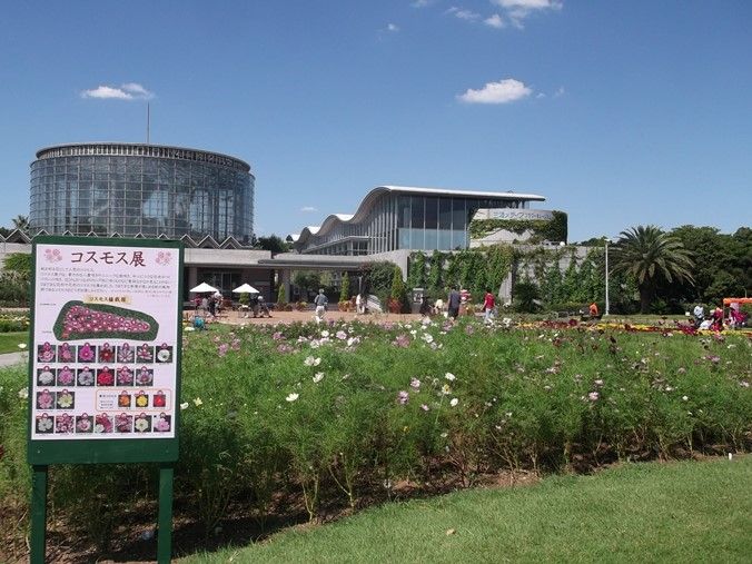三陽ミュージアム 見頃の花 9月21日 千葉市花の美術館公式ブログ 三陽ミュージアム 見頃の花 9月21日 千葉市花の美術館公式ブログ