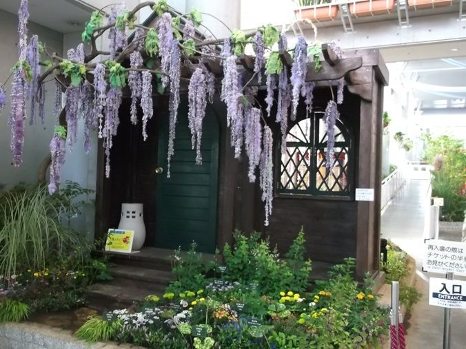 三陽ミュージアム 見頃の花 ９月１５日 千葉市花の美術館公式ブログ