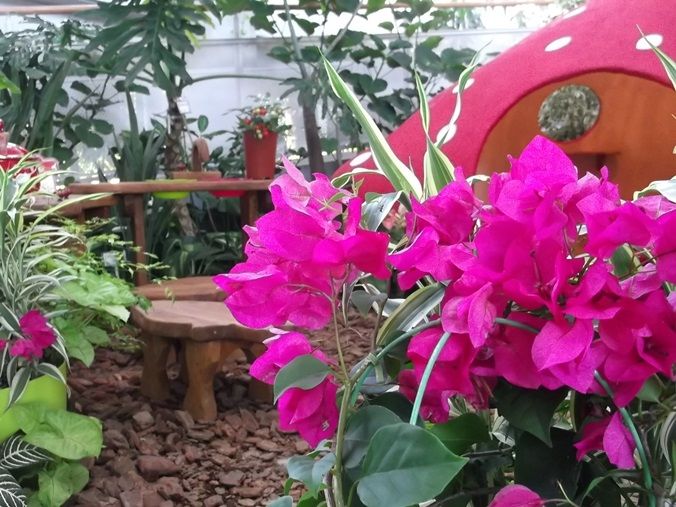 三陽ミュージアム 見頃の花 縮小版 ９月２日 千葉市花の美術館公式ブログ