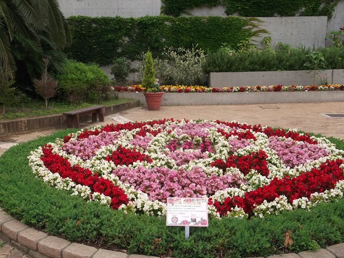 三陽ミュージアム 見頃の花 ６月７日 千葉市花の美術館公式ブログ
