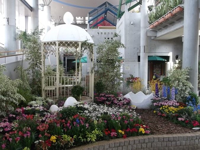 三陽ミュージアム 見頃の花 ４月９日 千葉市花の美術館公式ブログ