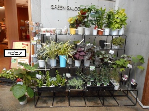 DSCN0357 (640x480)