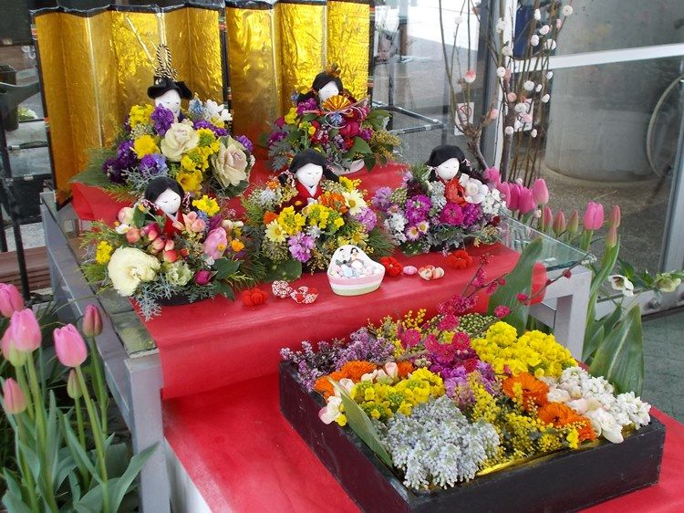 三陽ミュージアム 見頃の花 2月28日 千葉市花の美術館公式ブログ 三陽ミュージアム 見頃の花 2月28日 千葉市花の美術館公式ブログ