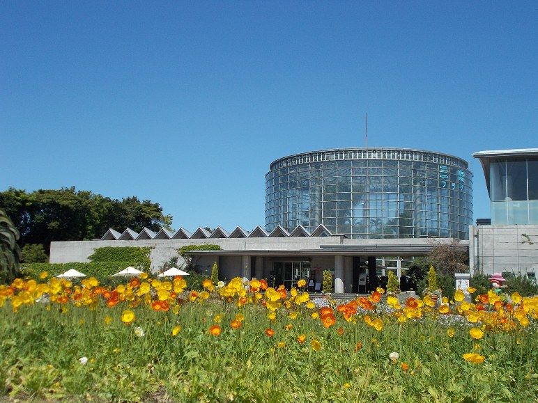 三陽ミュージアム 見頃の花 4月27日 千葉市花の美術館公式ブログ 三陽ミュージアム 見頃の花 4月27日 千葉市花の美術館公式ブログ