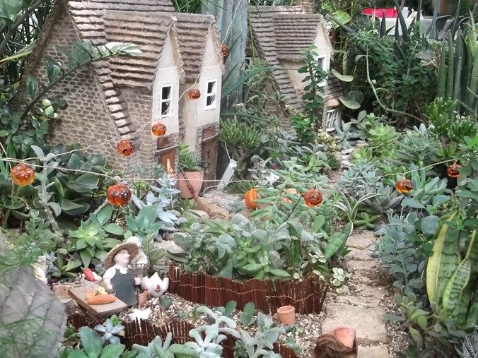 三陽ミュージアム 見頃の花 １０月２６日 千葉市花の美術館公式ブログ